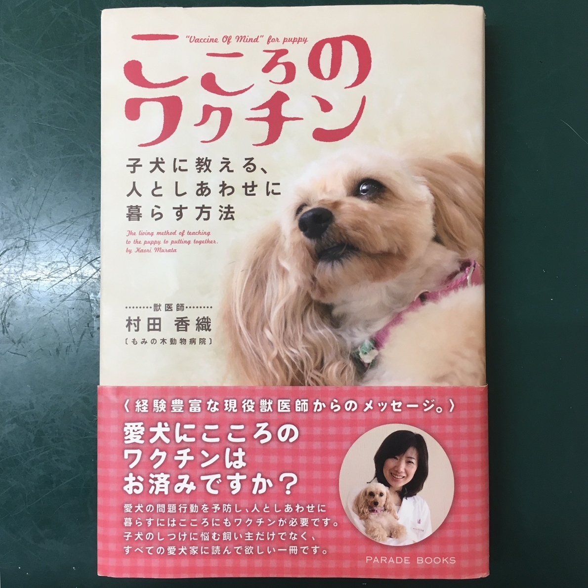 子犬を迎えました 本格的なトイレトレーニング開始 お知らせ オレンジ動物病院 病院 介護ナビ Milmil